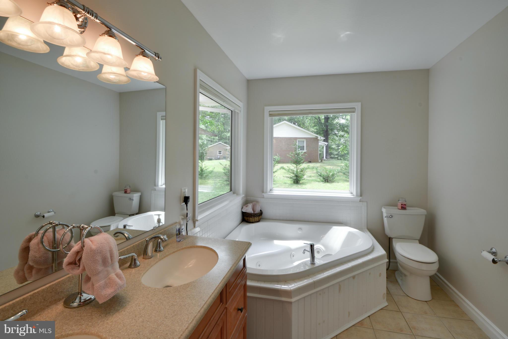 8159 Rogues Road Catlett, VA 20119 - Photo 10 of 26 Bath (Master)