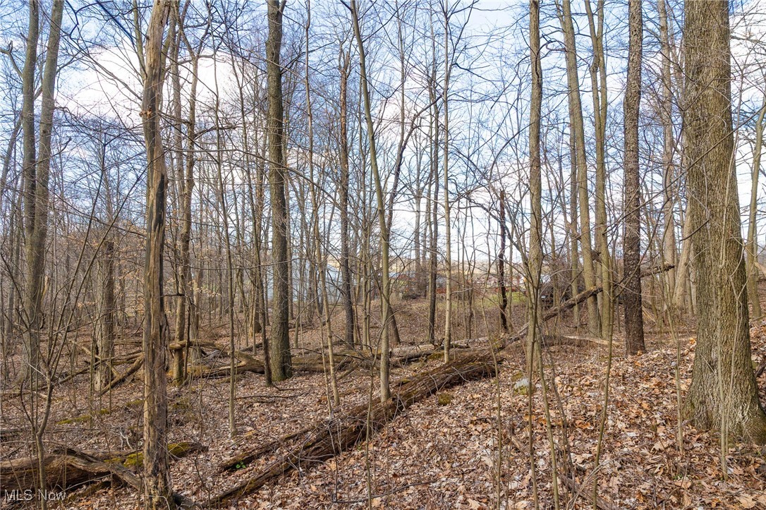 Arney Road Navarre, OH 44662 - Photo 15 of 33 View of nature