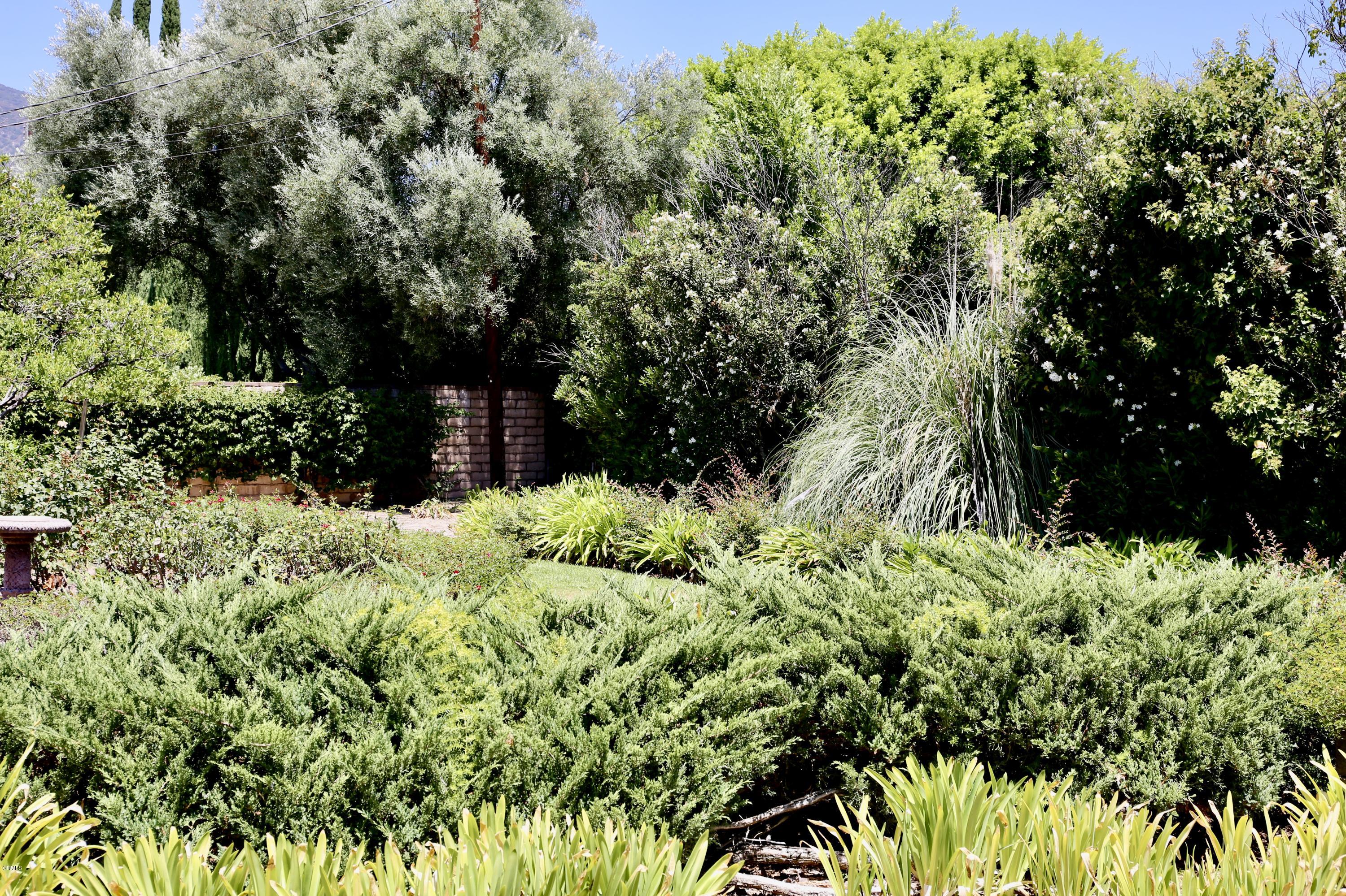 1518 Rodeo Road Arcadia, CA 91006 - Photo 28 of 30 a view of a garden with plants