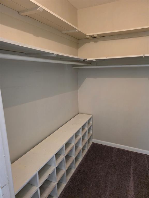 103 North Magnolia Street Plain Dealing, LA 71064 - Photo 23 of 26 Walk in closet with carpet