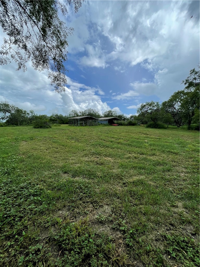 5937 Hidden Valley Loop Sandia, TX 78383 - Photo 25 of 28 Back Pasture with Livestock covers and electric