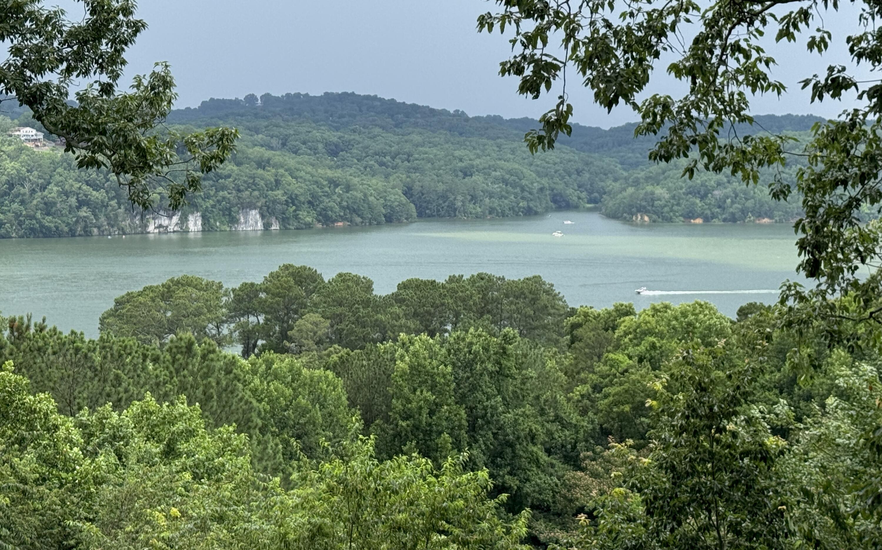 5703 Laurel Ridge Road Chattanooga, TN 37416 - Photo 67 of 67 View from back deck