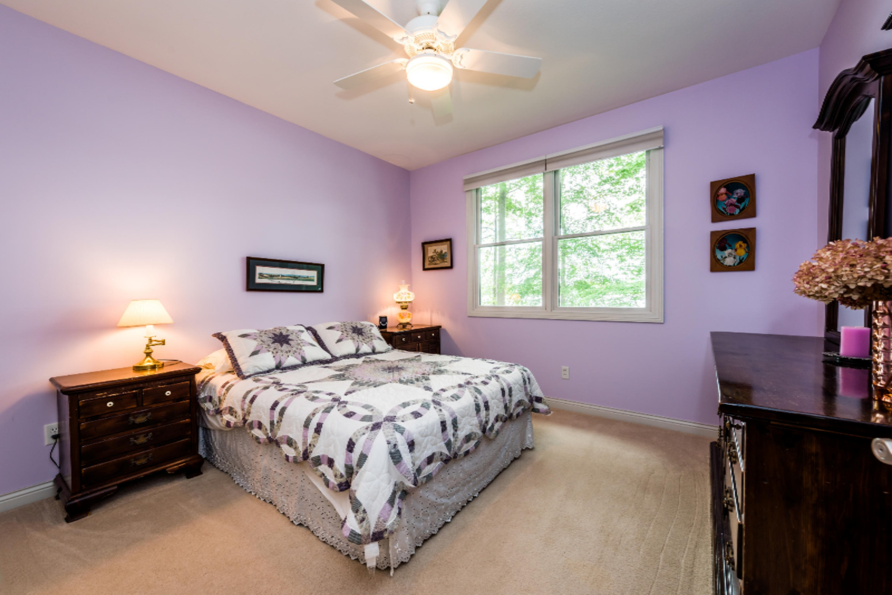 46967 Elizabeth Lane Decatur, MI 49045 - Photo 13 of 40 Elizabeth-110