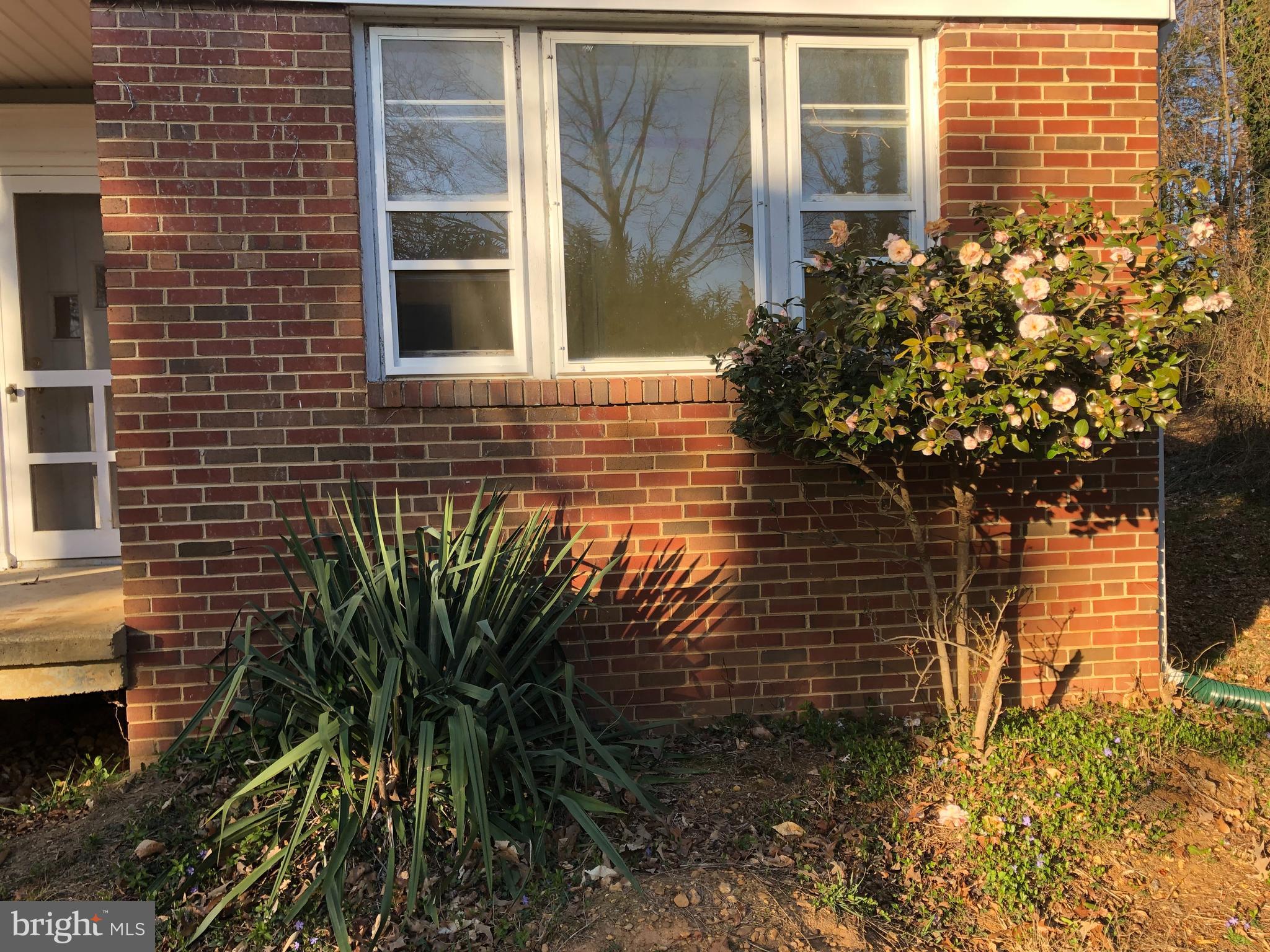 1610 Lee Road Fort Washington, MD 20744 - Photo 8 of 57 Side view flora