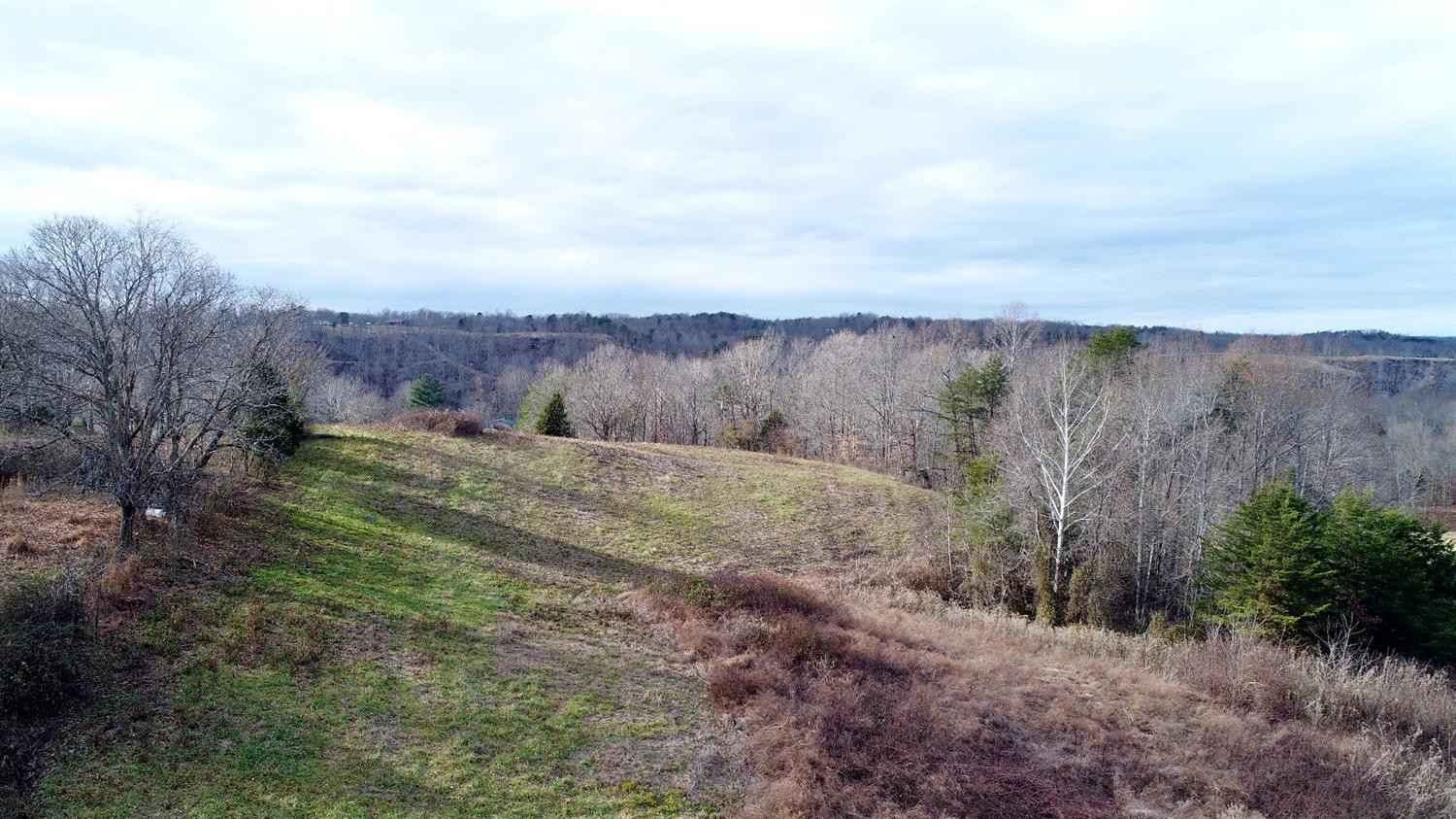 146 Opossum Run Road Irvine, KY 40336 - Photo 53 of 64 Great farm to raise livestock!
