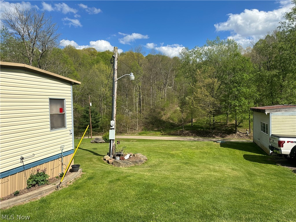 4041 Gray Road Kimbolton, OH 43749 - Photo 5 of 32 View of yard