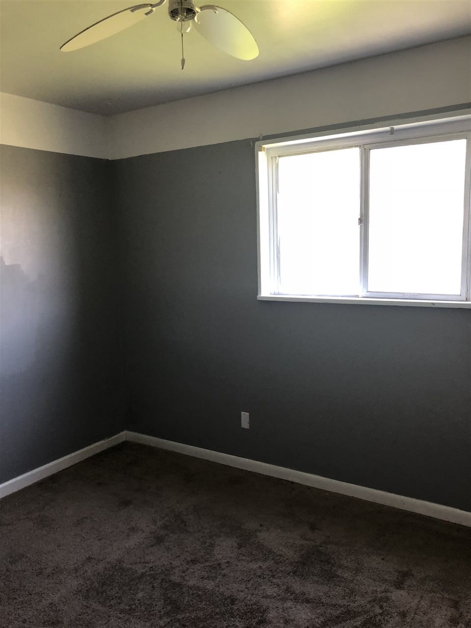 3910 Toepfer Road Warren, MI 48091 - Photo 10 of 16 31348811-9.JPG
