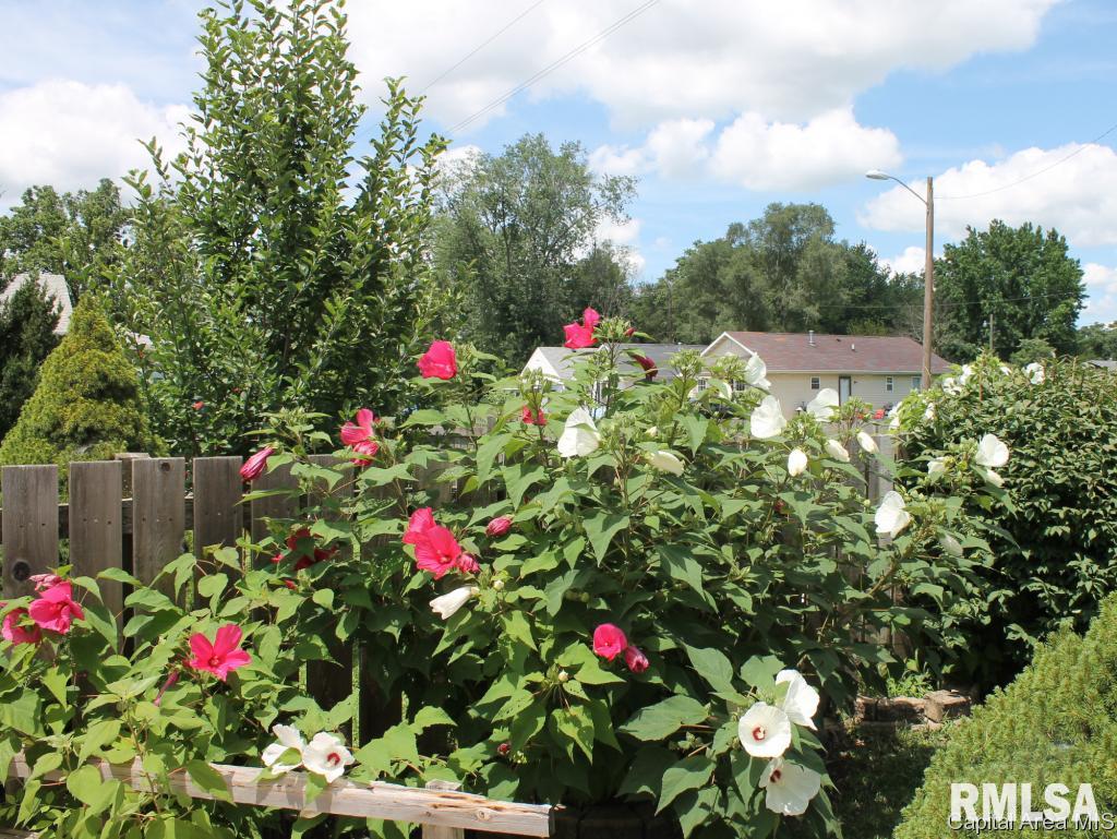 2036 East Cedar Street Springfield, IL 62703 - Photo 24 of 25 Gallery Image 24