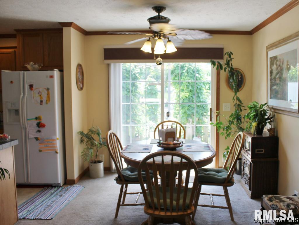 2036 East Cedar Street Springfield, IL 62703 - Photo 8 of 25 Gallery Image 8