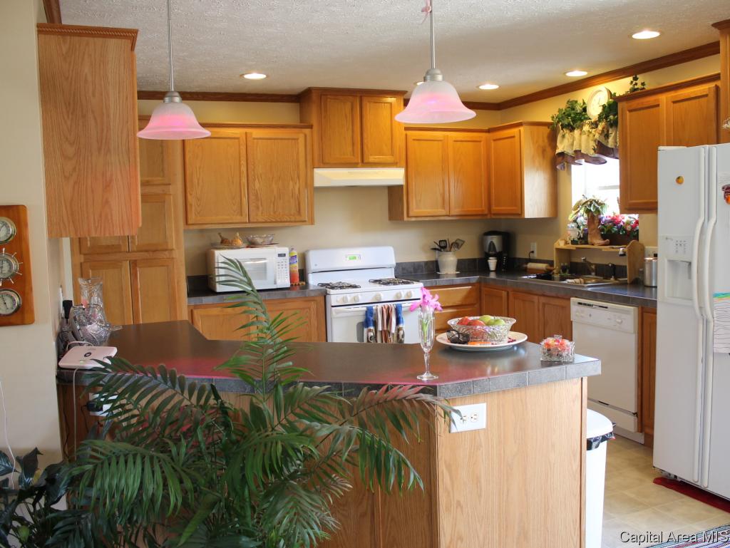 2036 East Cedar Street Springfield, IL 62703 - Photo 9 of 25 Gallery Image 9