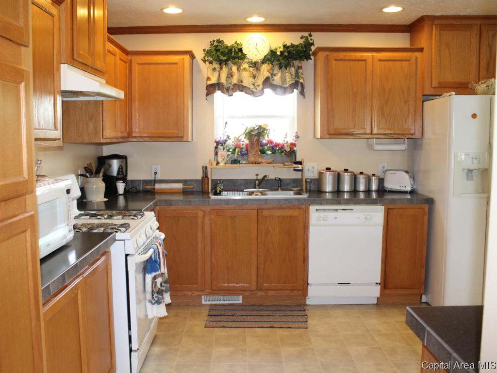 2036 East Cedar Street Springfield, IL 62703 - Photo 10 of 25 Gallery Image 10