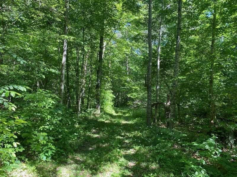 1200 Charlie Morrison Road Columbia, KY 42728 - Photo 14 of 17 Gallery Image 14