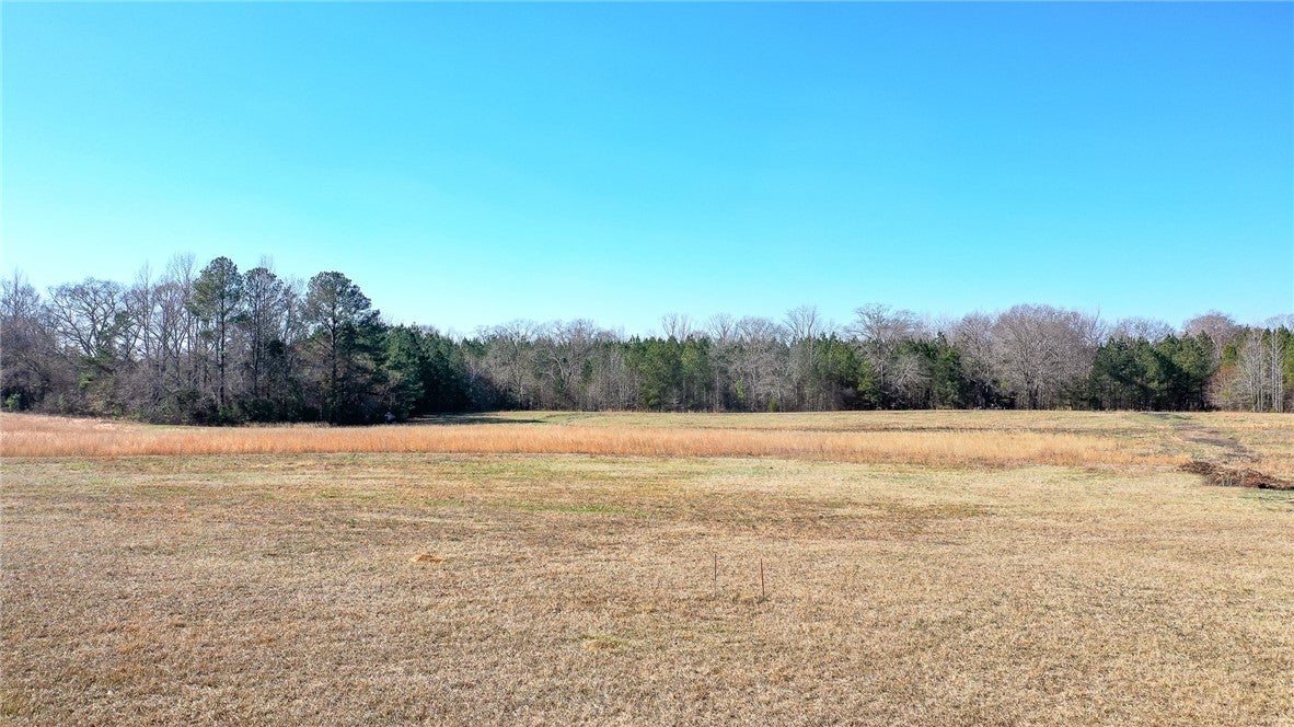 1225 Brazell Road Camp Hill, AL 36850 - Photo 2 of 15 Gallery Image 2