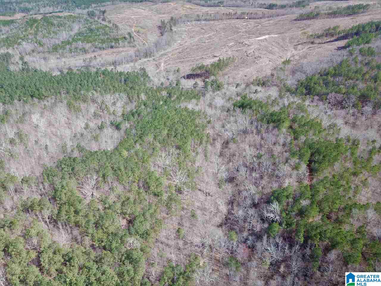 0 County Road 893 Heflin, AL 36264 - Photo 5 of 17