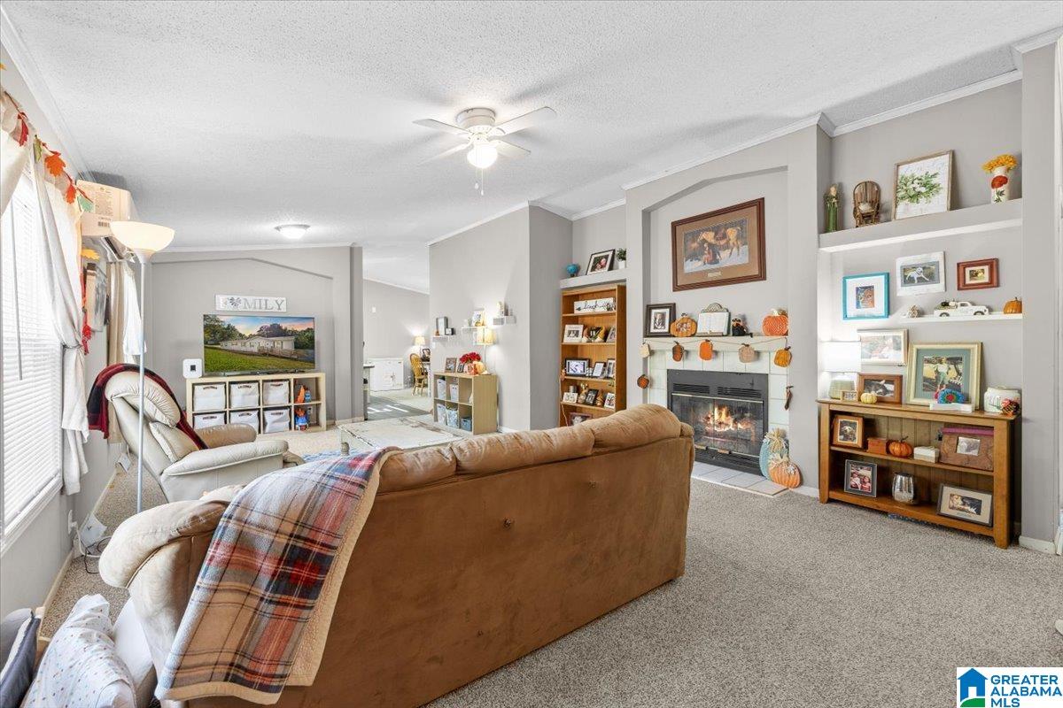 67 Pike Road Remlap, AL 35133 - Photo 3 of 21 Gallery Image 3