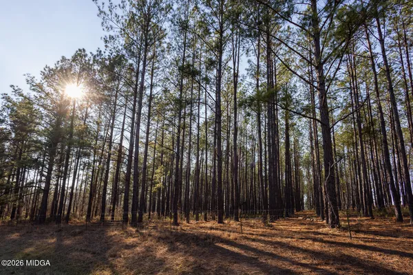 $595,000 | 1578 Edsel Senn Road, Rockledge, GA 30454