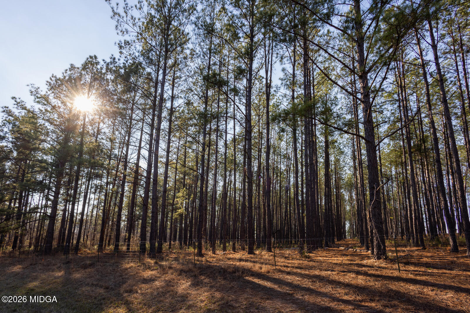 1578 Edsel Senn Road Rockledge, GA 30454 - Photo 31 of 32 a view of outdoor space with deck