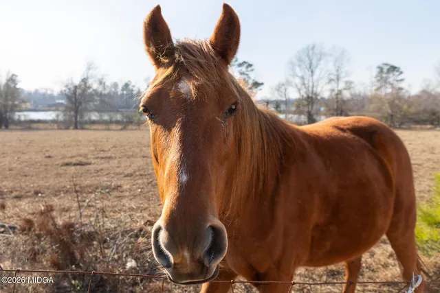 $595,000 | 1578 Edsel Senn Road, Rockledge, GA 30454