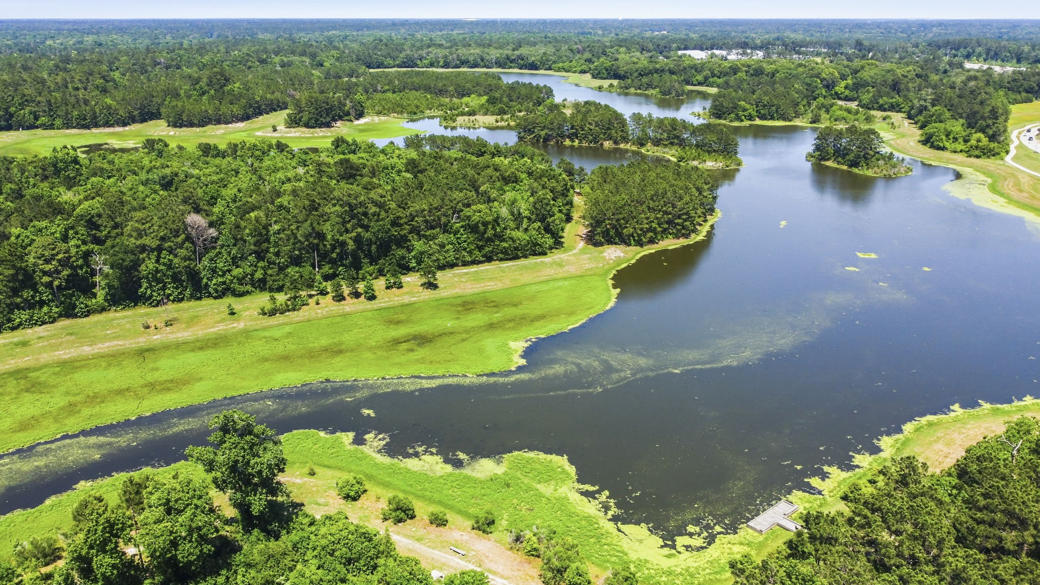 3900 Enchanted Timbers Lane Spring, TX 77386 - Photo 48 of 49 a view of a lake with a yard