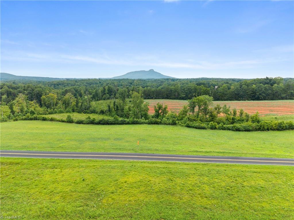 0 Hauser Road Pinnacle, NC 27043 - Photo 8 of 10 Gallery Image 8