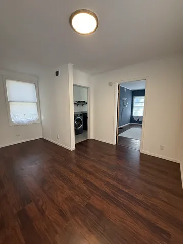 a view of a backyard with plants and large tree