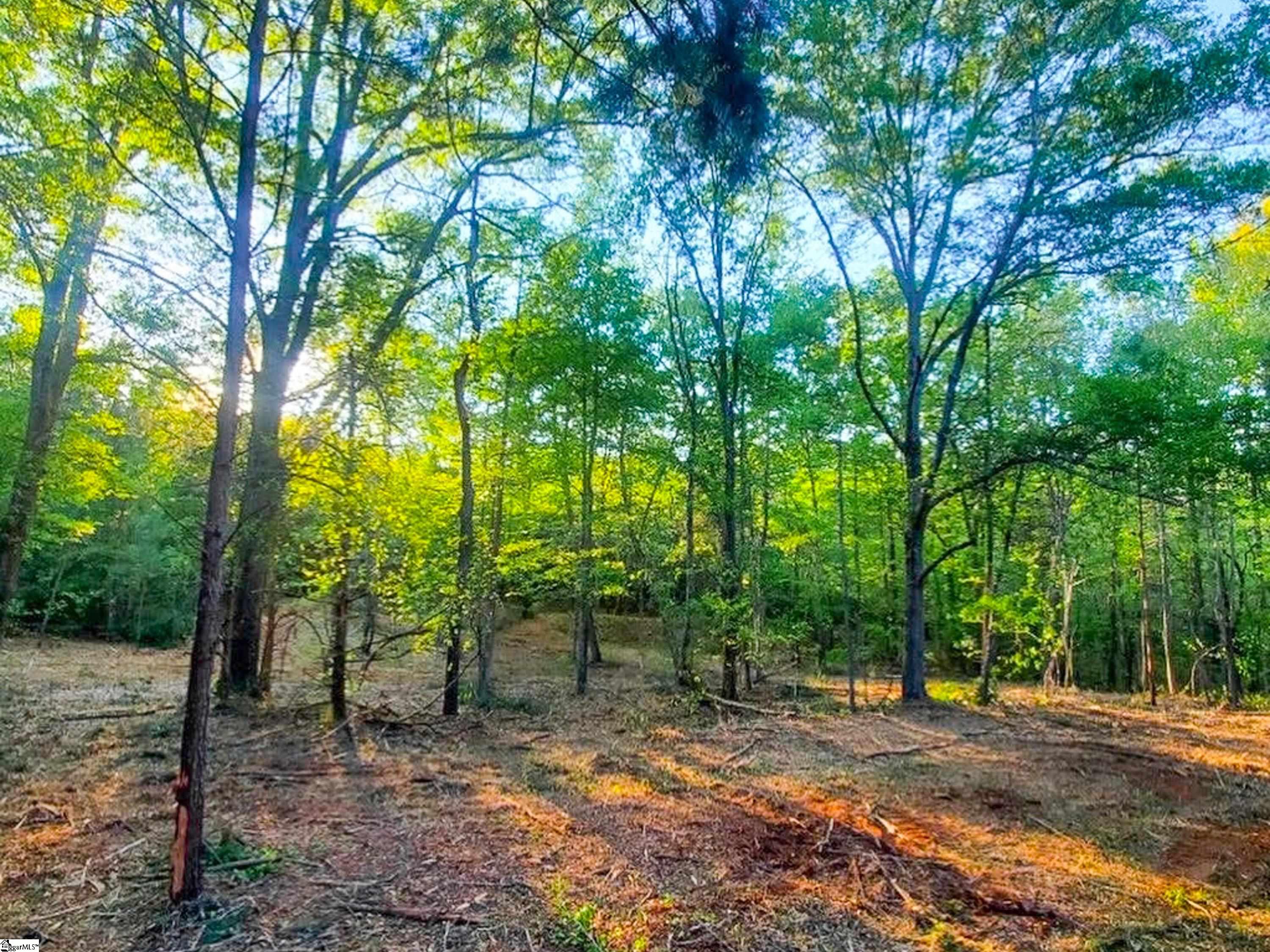 0 Cross Anchor Road, Unit WEST LOT Enoree, SC 29335 - Photo 12 of 19