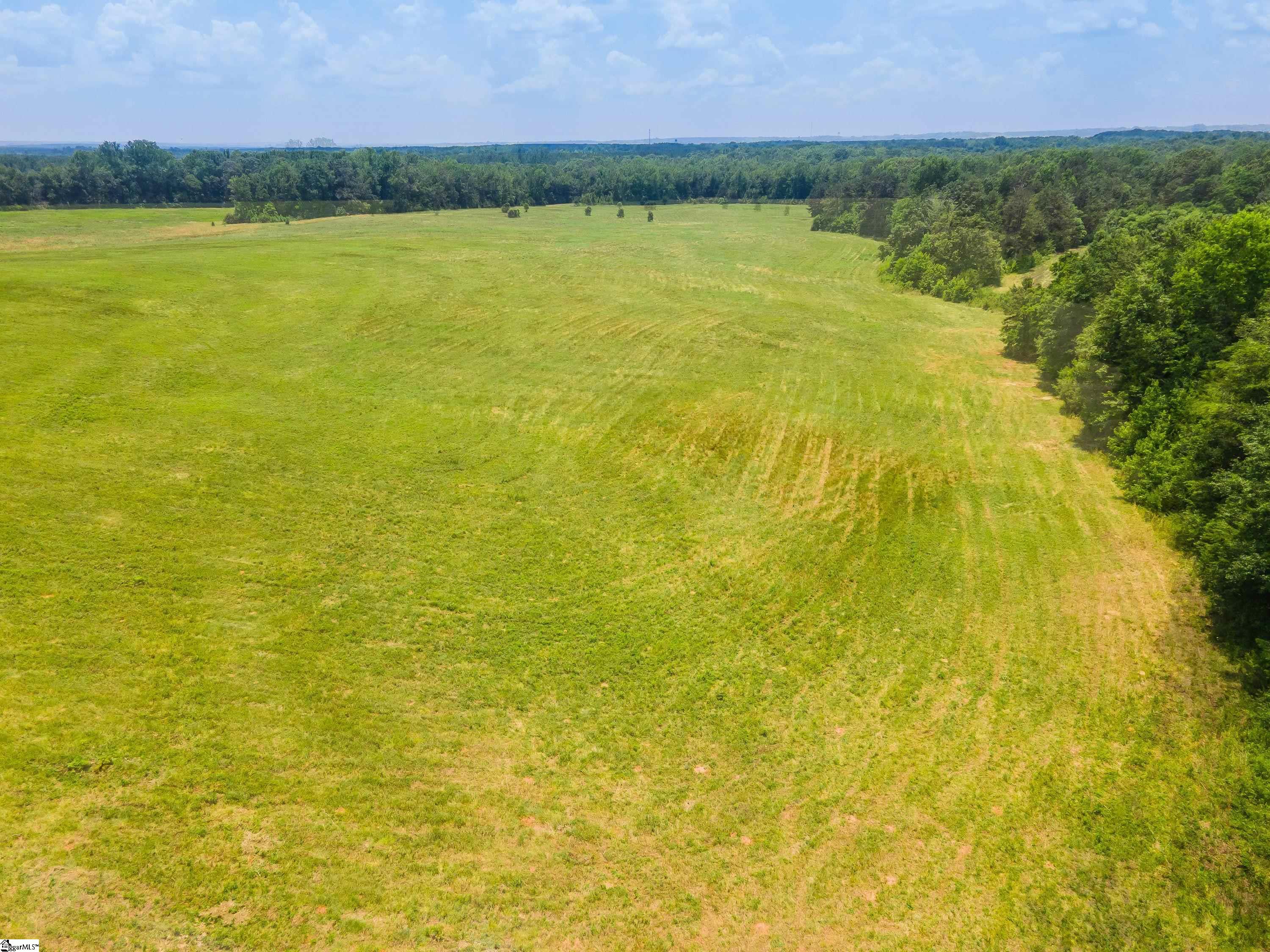 0 Cross Anchor Road, Unit WEST LOT Enoree, SC 29335 - Photo 13 of 19