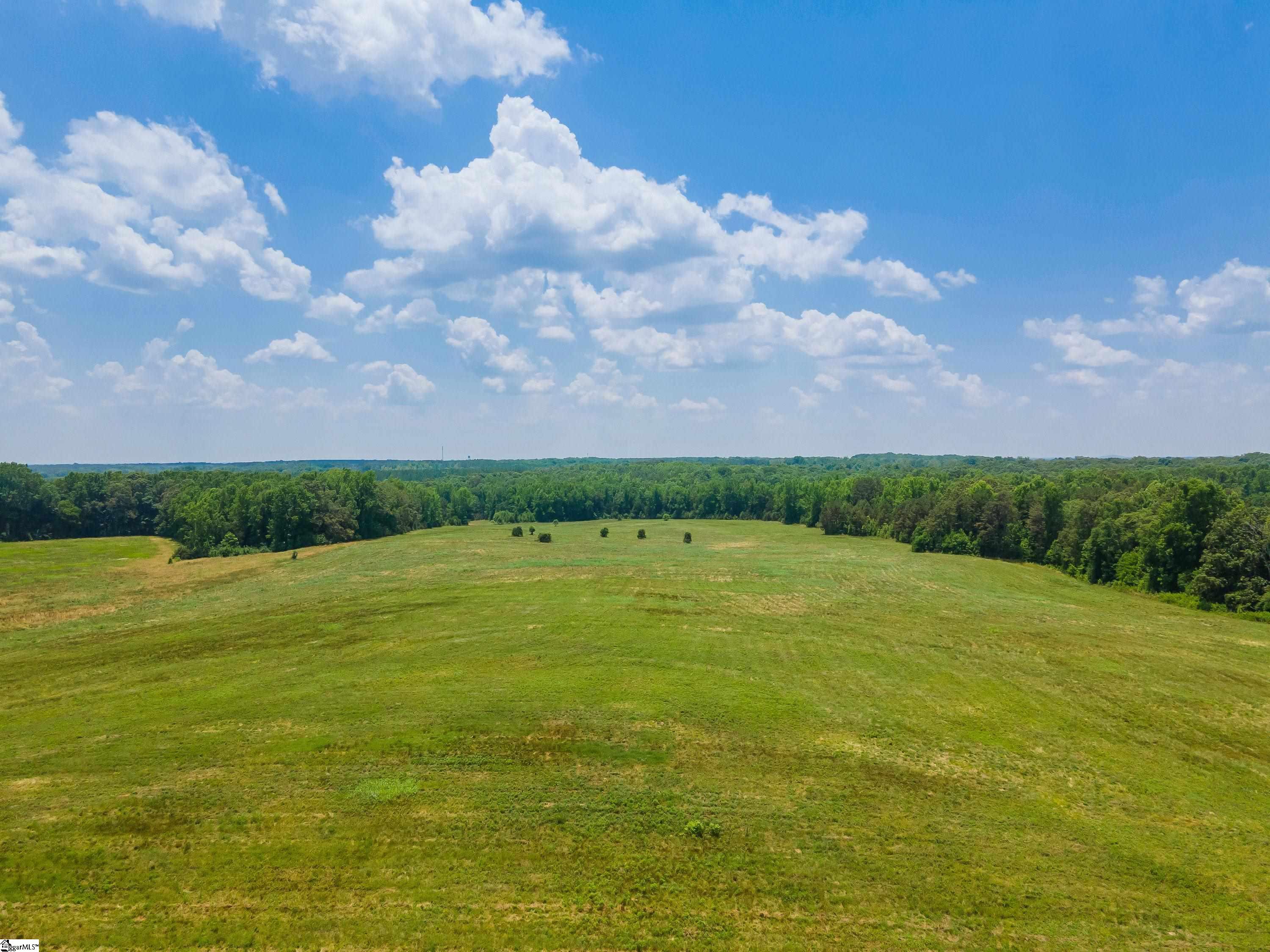 0 Cross Anchor Road, Unit WEST LOT Enoree, SC 29335 - Photo 14 of 19