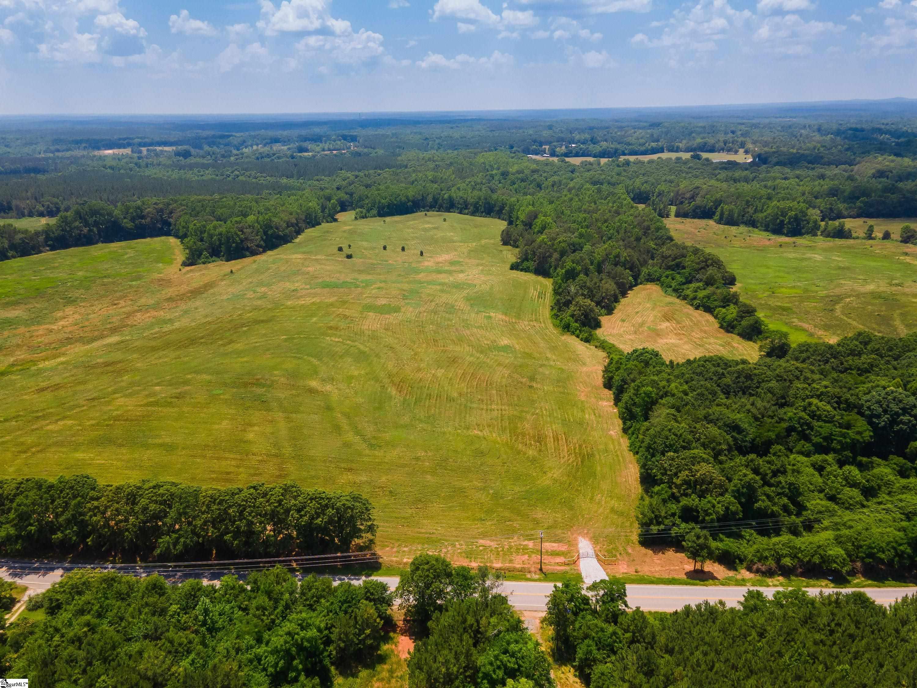 0 Cross Anchor Road, Unit WEST LOT Enoree, SC 29335 - Photo 4 of 19
