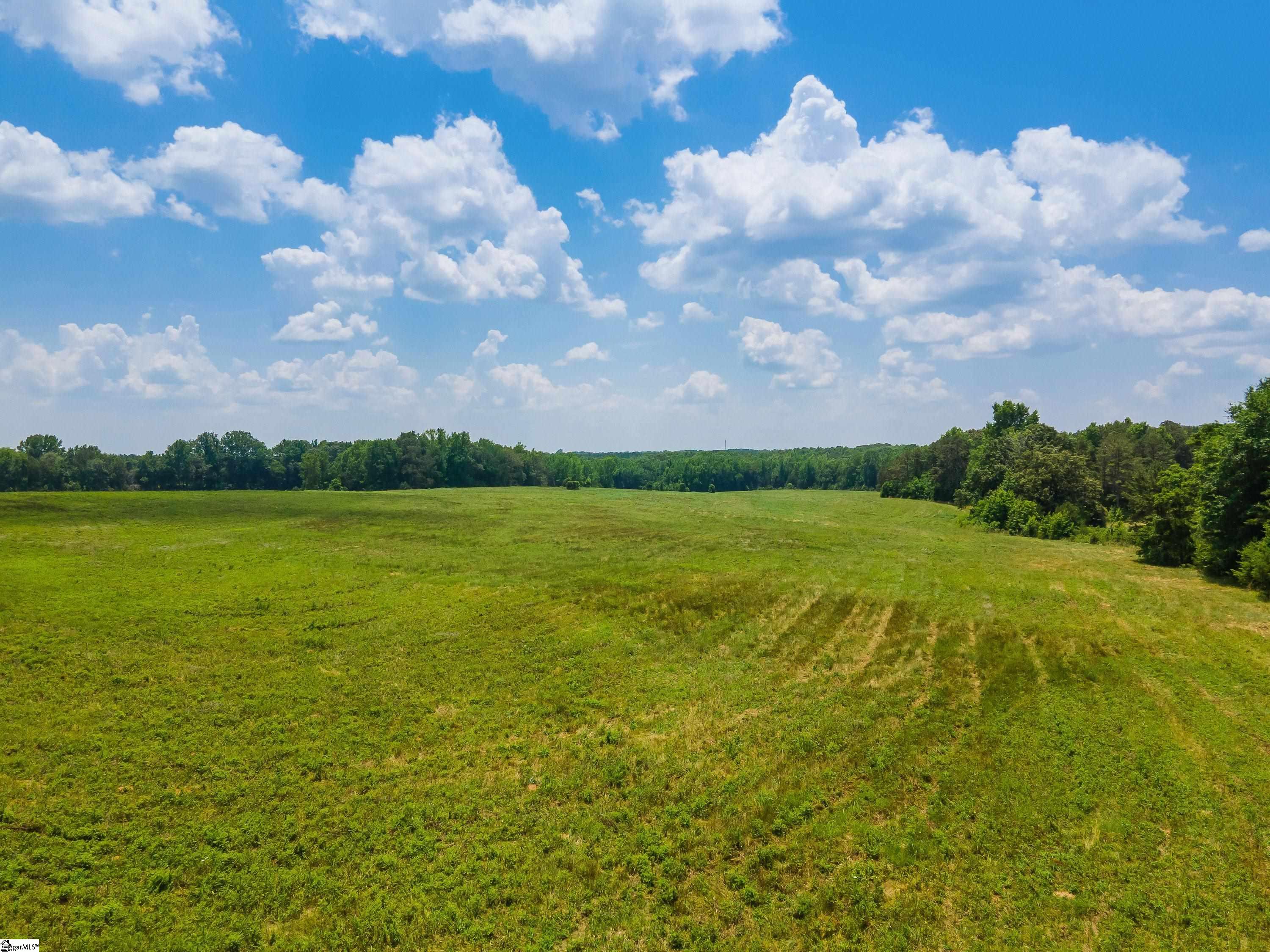 0 Cross Anchor Road, Unit WEST LOT Enoree, SC 29335 - Photo 10 of 19