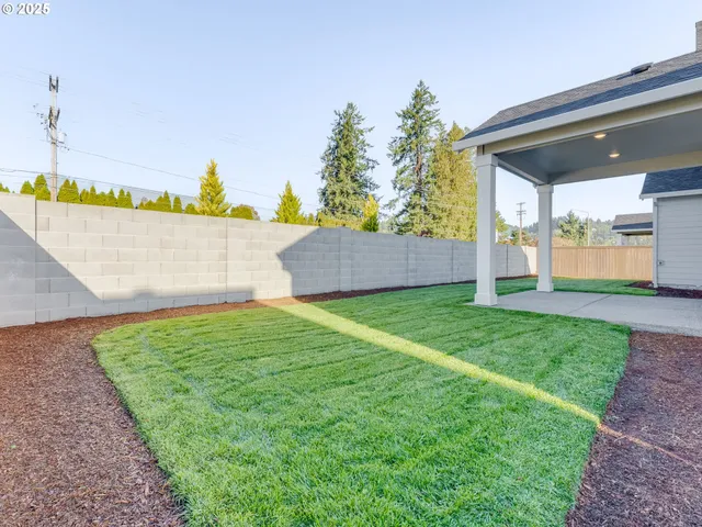 a view of a backyard