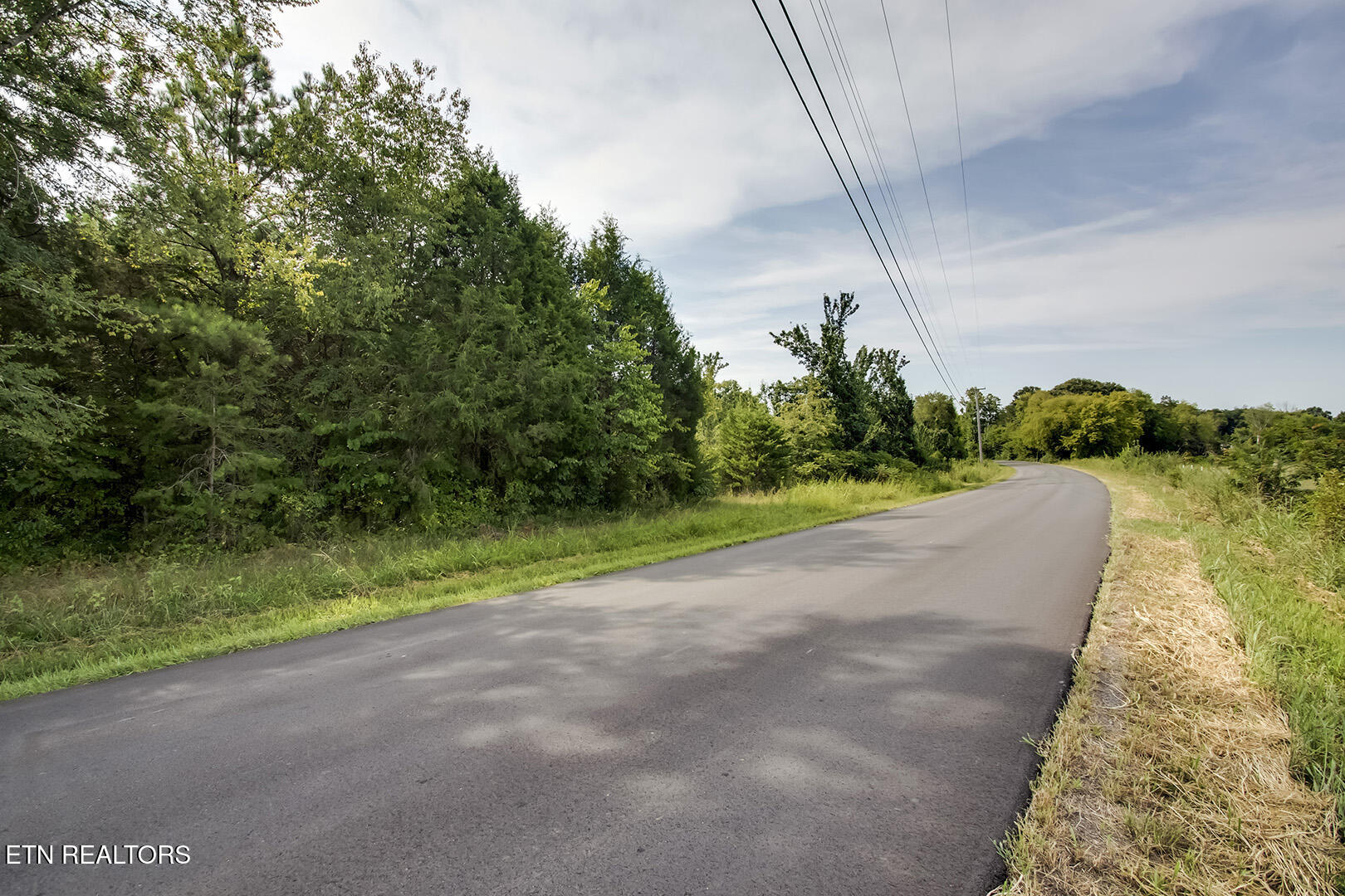 Lot 66 New Union Road Dayton, TN 37321 - Photo 12 of 19 04_NewUnionRoad_Lot66_Road_N