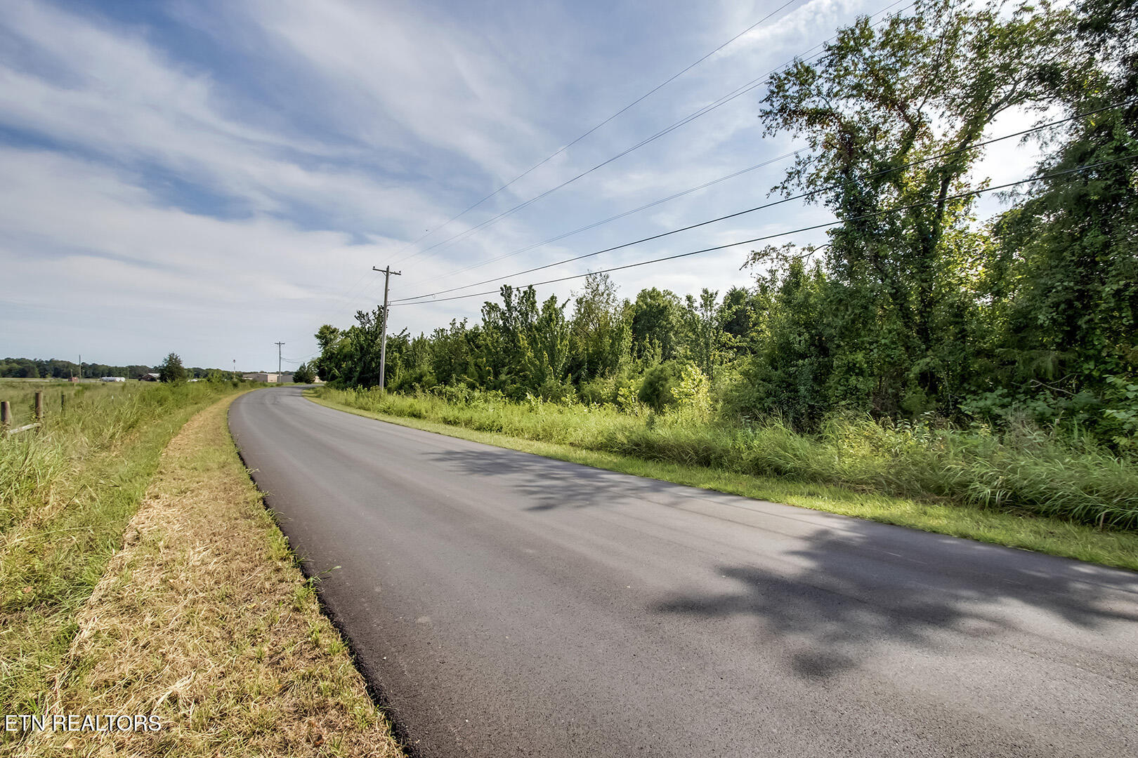 Lot 66 New Union Road Dayton, TN 37321 - Photo 14 of 19 06_NewUnionRoad_Lot66_Road_S