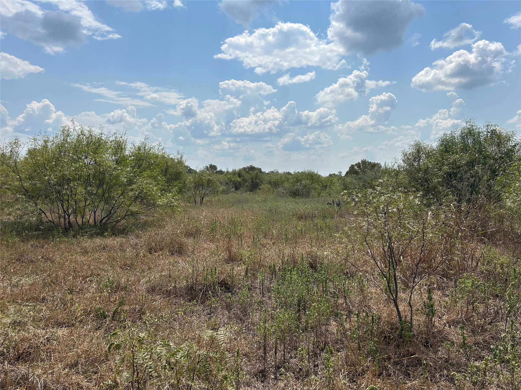 303 Walter Hoffman Road Cedar Creek, TX 78612 - Photo 2 of 5 a view of a city and mountains