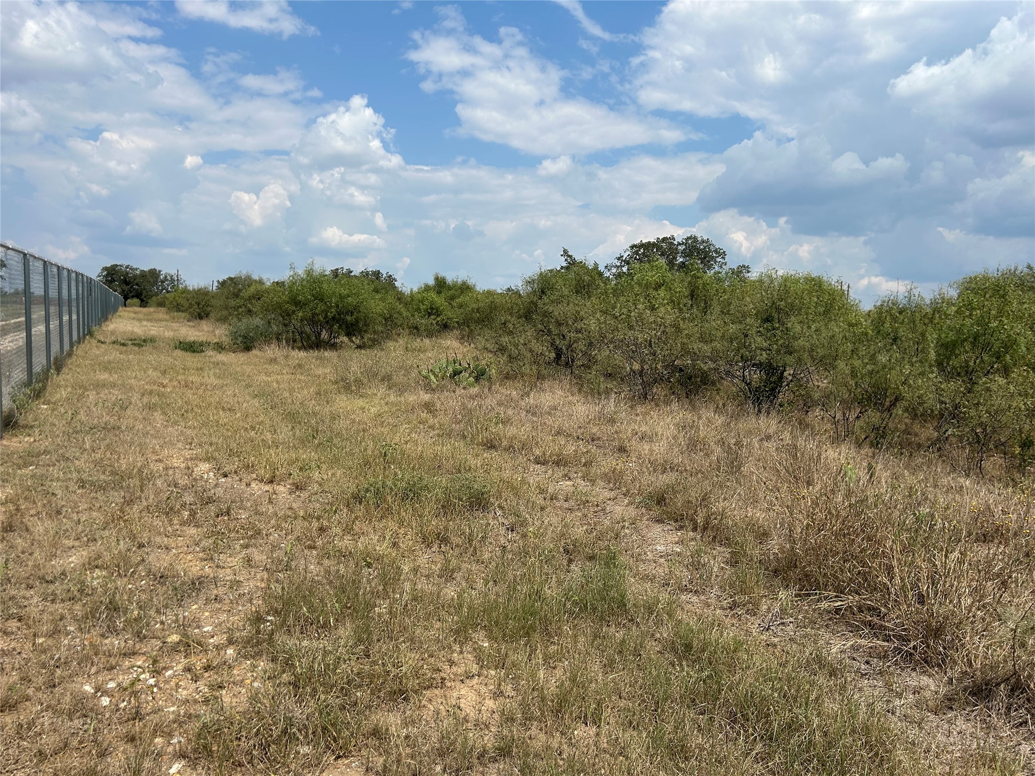 303 Walter Hoffman Road Cedar Creek, TX 78612 - Photo 5 of 5 a view of a dry yard with lots of green space