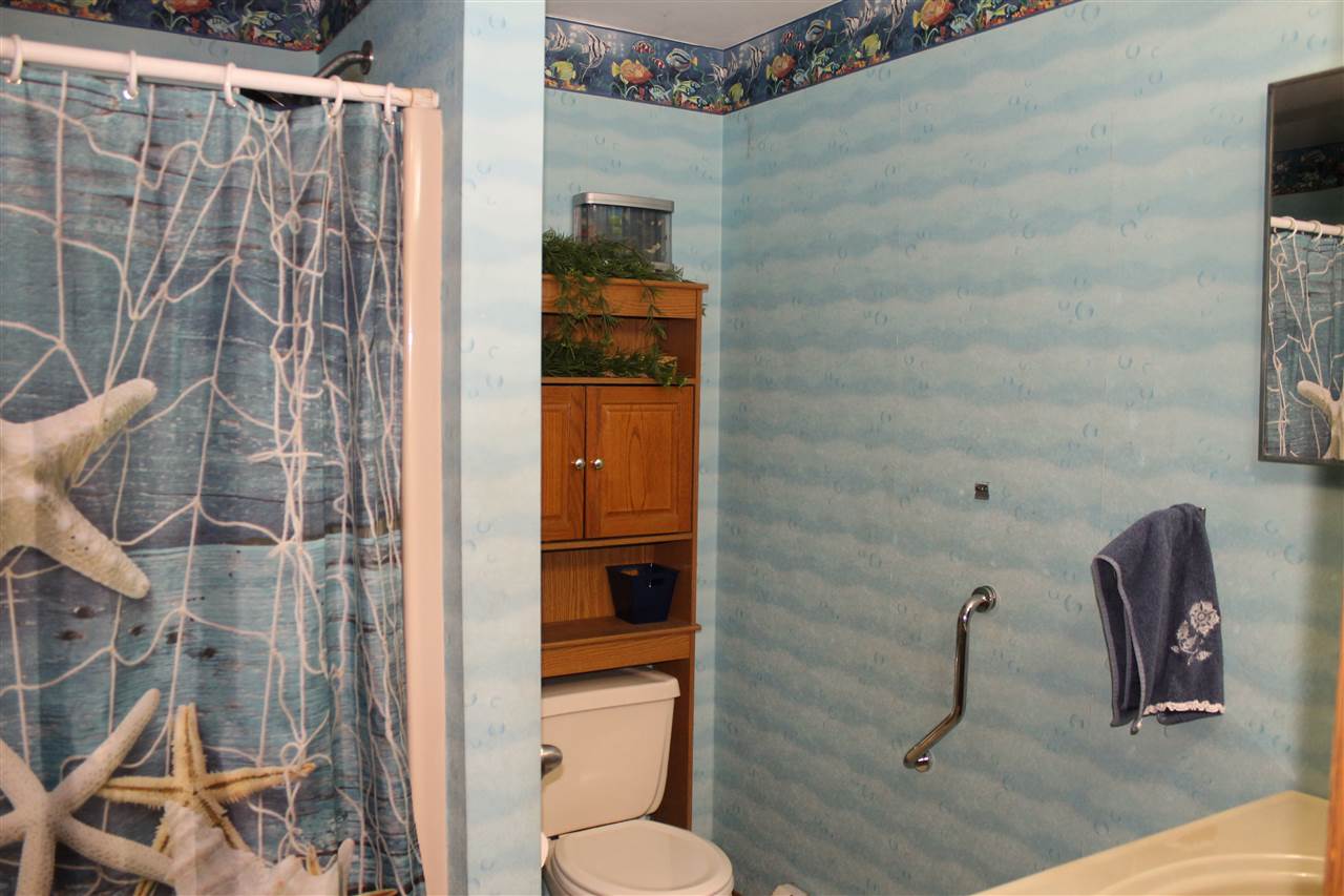 16075 Baldwin Road Chesaning, MI 48616 - Photo 24 of 42 Gallery Image 24