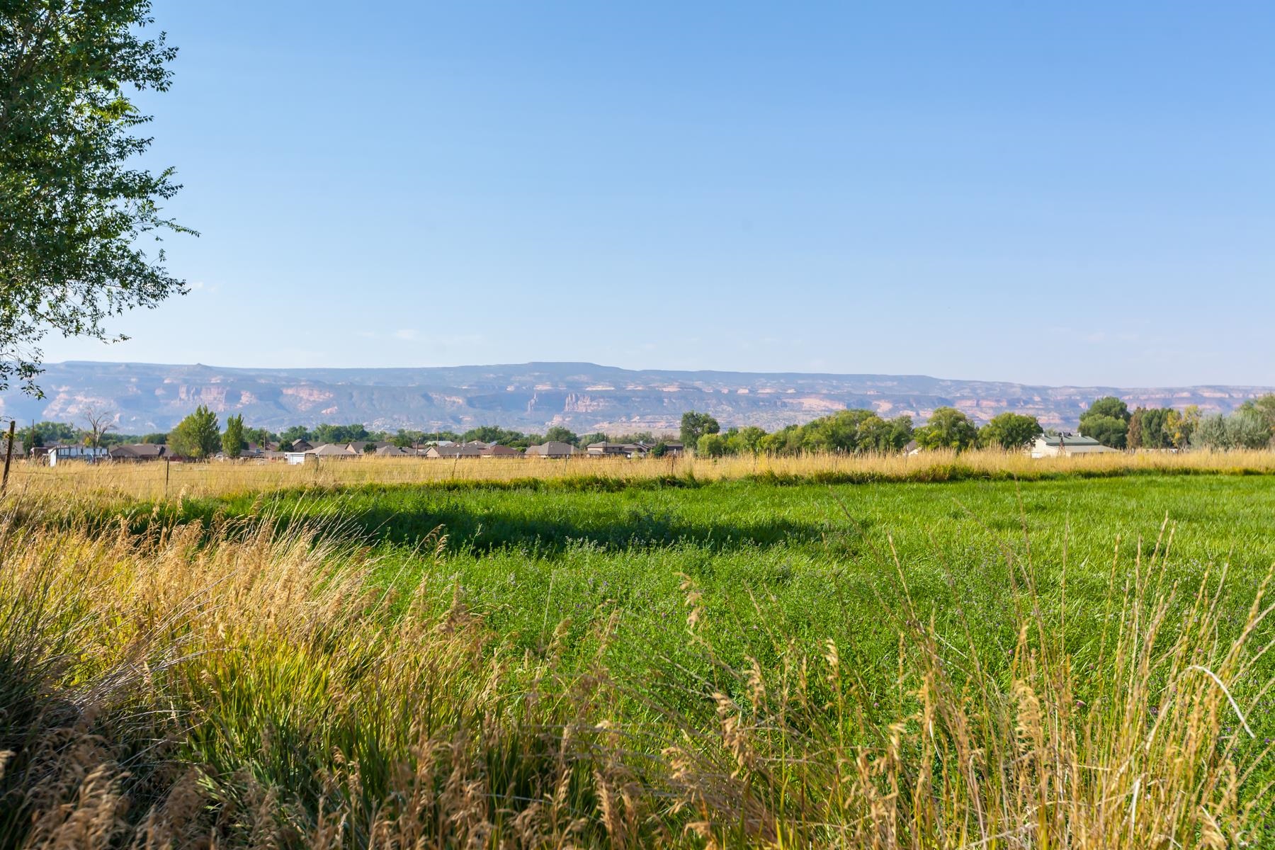 1037 Wingate Drive Fruita, CO 81521 - Photo 35 of 42 a view of lake with houses