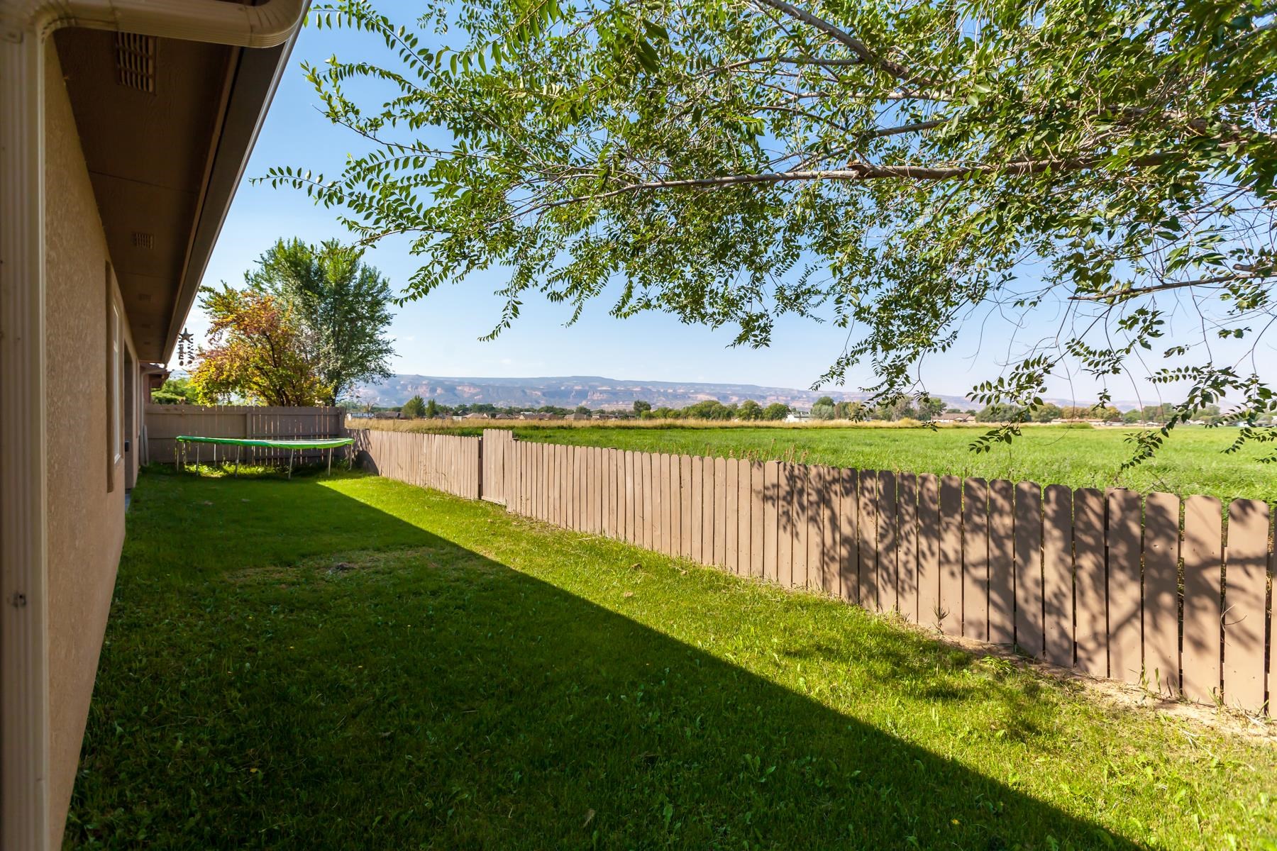 1037 Wingate Drive Fruita, CO 81521 - Photo 39 of 42 a view of a yard with a large tree and a big yard