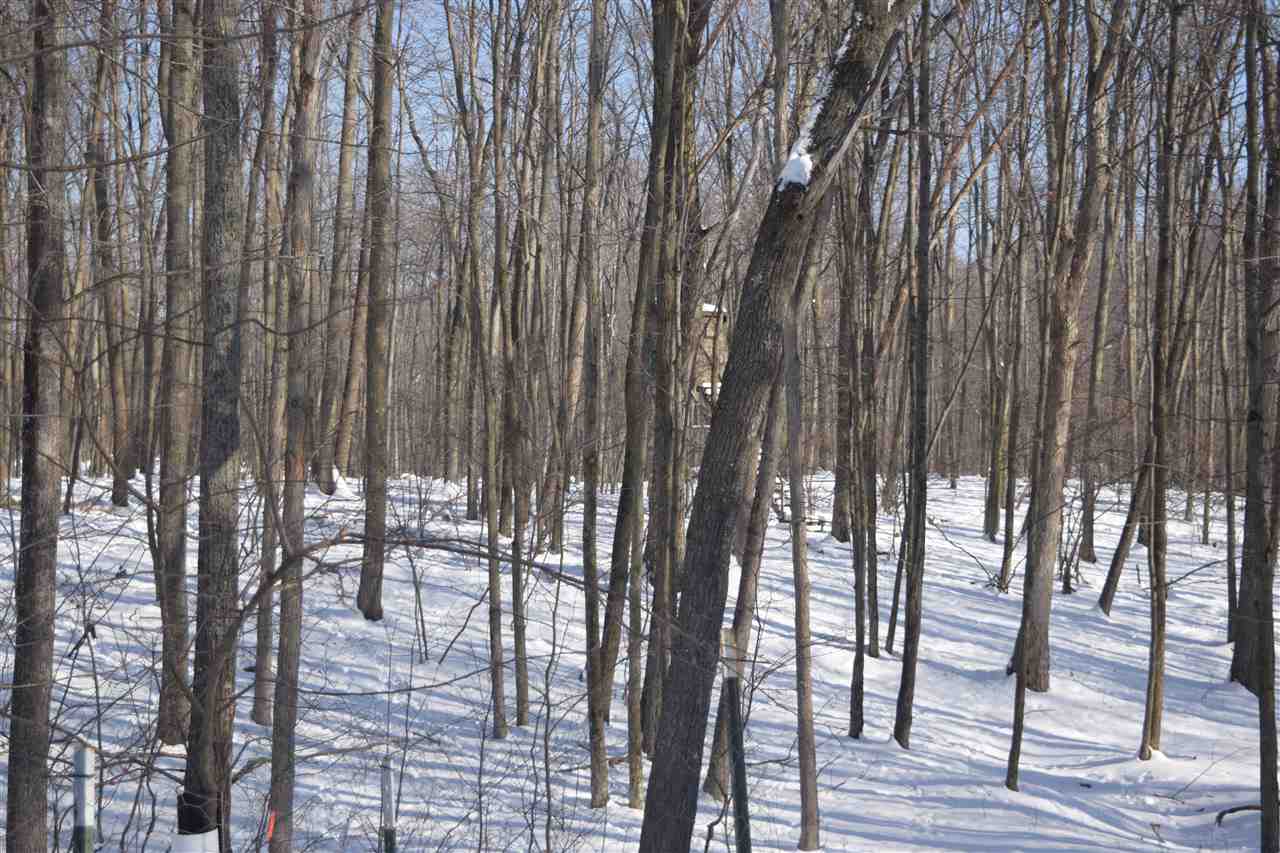 4668 Boutell Ranch Road West Branch, MI 48661 - Photo 86 of 91 1843194-85.JPG