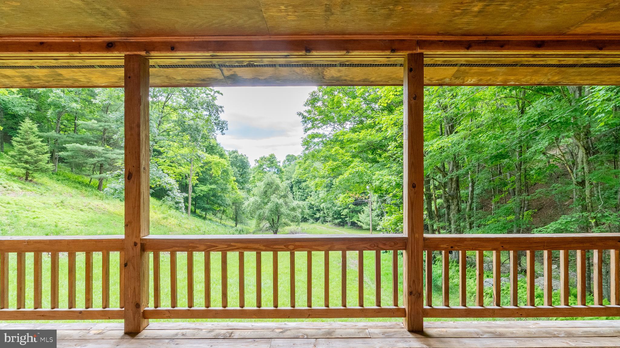1862 Hawbush Road Circleville, WV 26804 - Photo 47 of 83