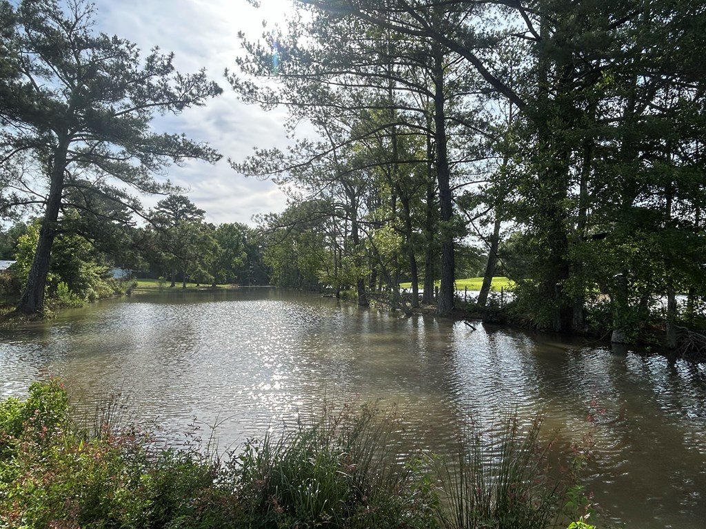 7697 Eddins Road Dothan, AL 36301 - Photo 19 of 65