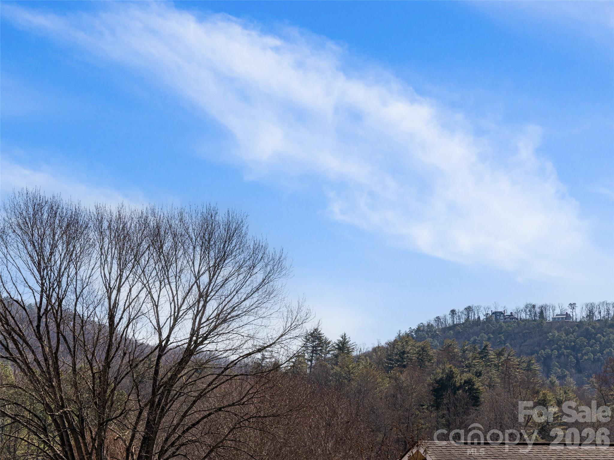 120 Burge Mountain Road Hendersonville, NC 28792 - Photo 34 of 44 a view of a city with lots of trees