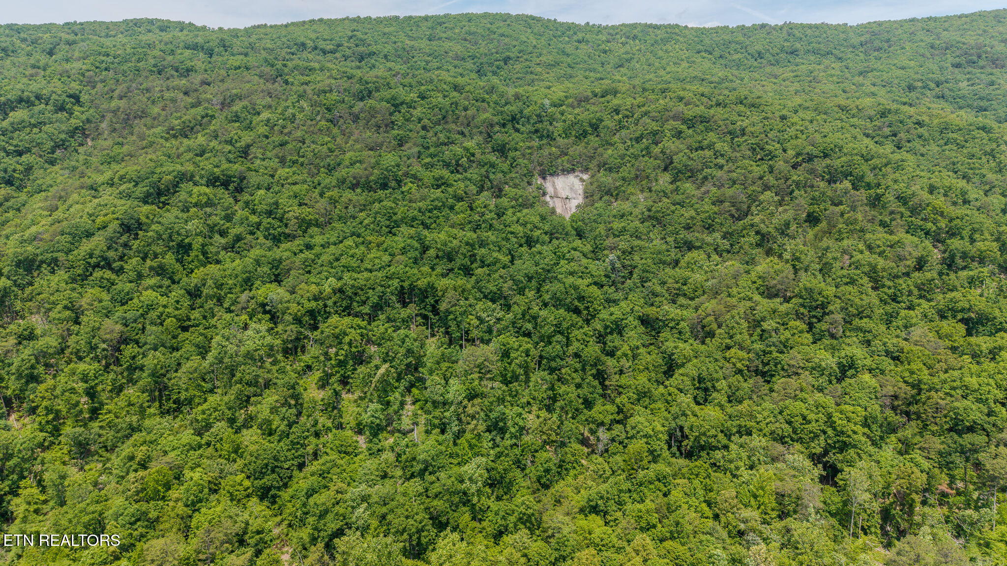 Poor Valley Road Rutledge, TN 37861 - Photo 5 of 9 4-web-or-mls-DJI_20260519123311_0260_D