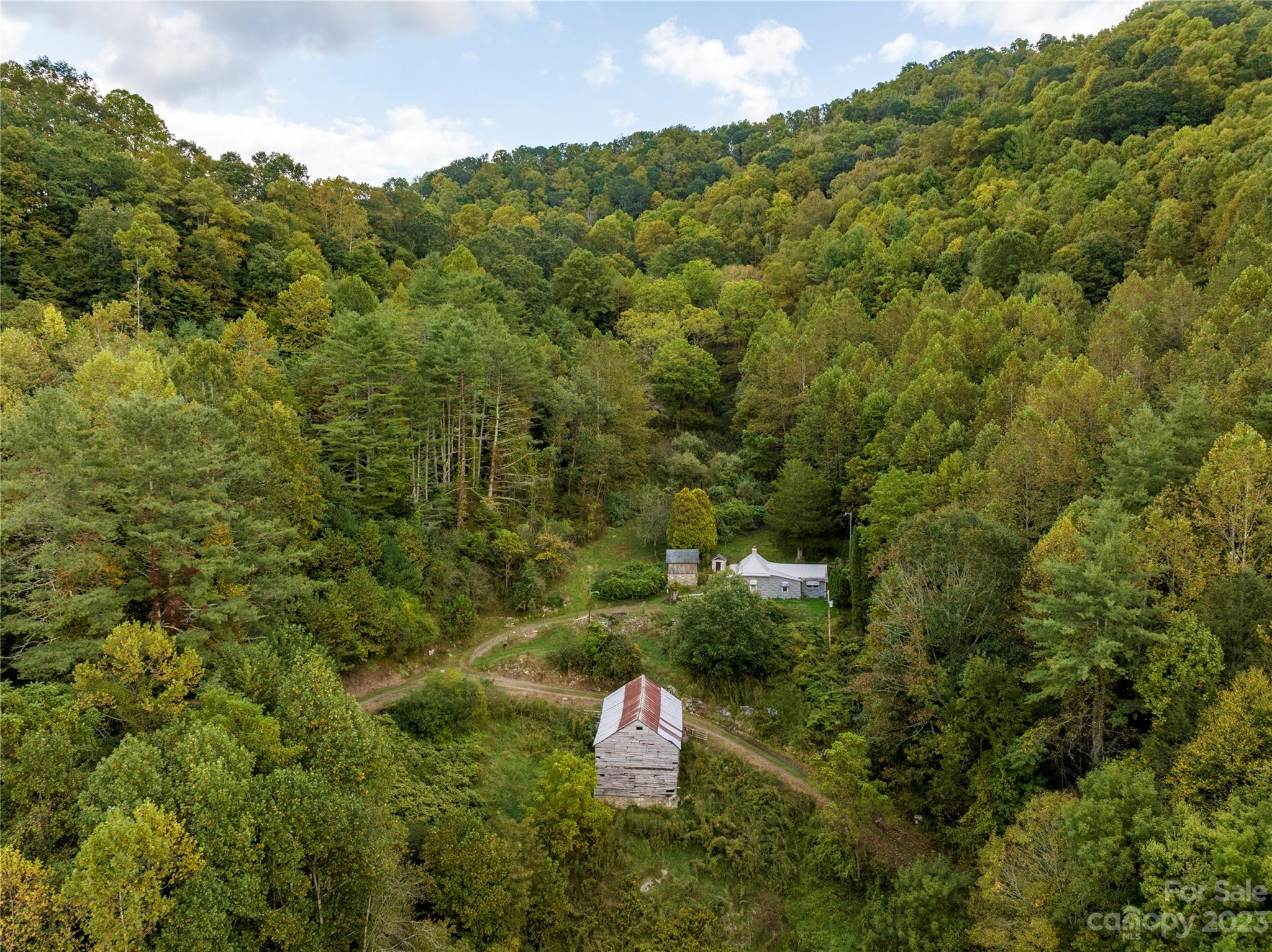 304 Miller Hill Road Burnsville, NC 28714 - Photo 12 of 20 a aerial view of a trees with a yard
