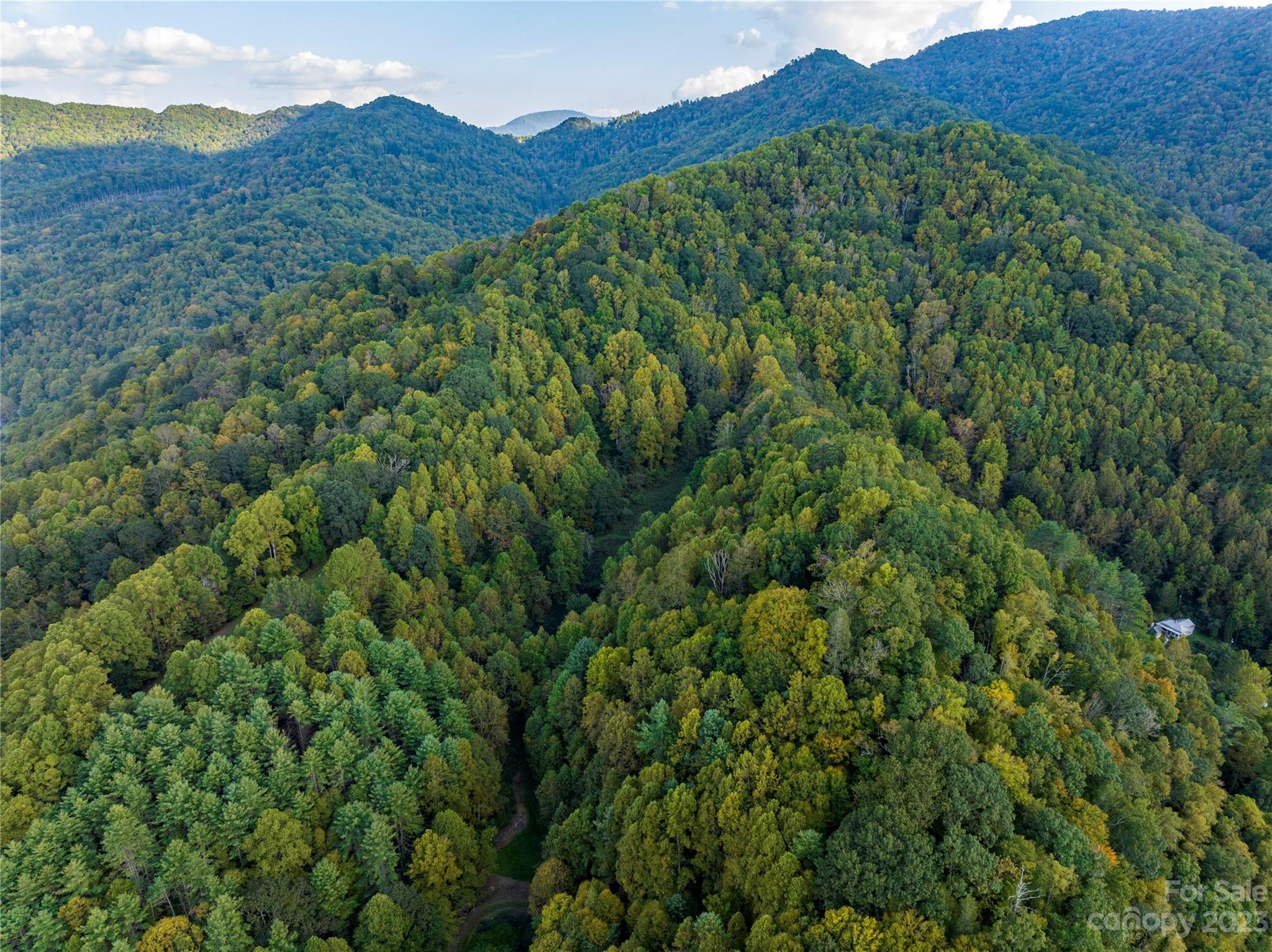 304 Miller Hill Road Burnsville, NC 28714 - Photo 18 of 20 a view of a lush green field with a mountain in the background