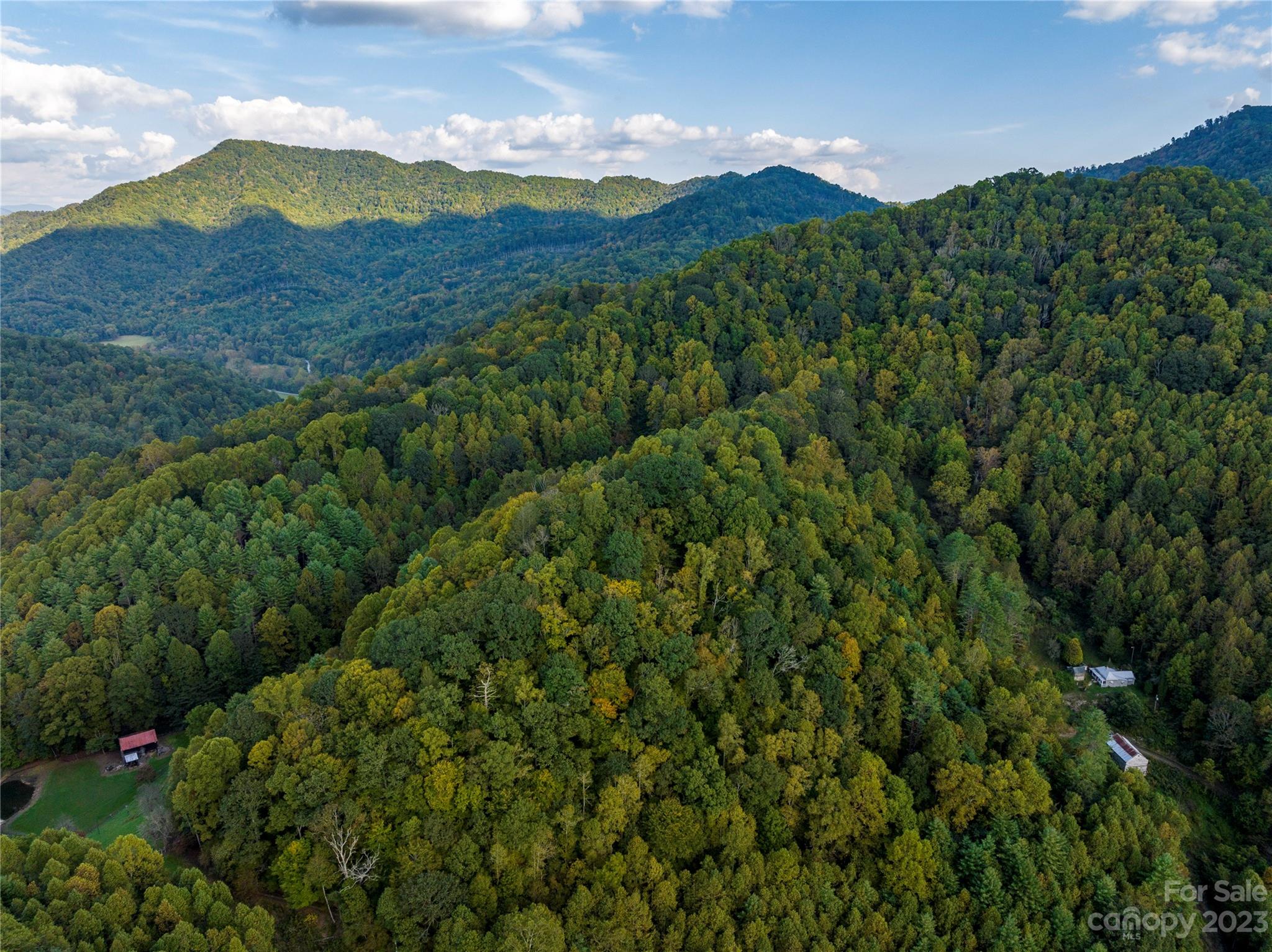 304 Miller Hill Road Burnsville, NC 28714 - Photo 19 of 20 a view of a lush green hillside and a mountain