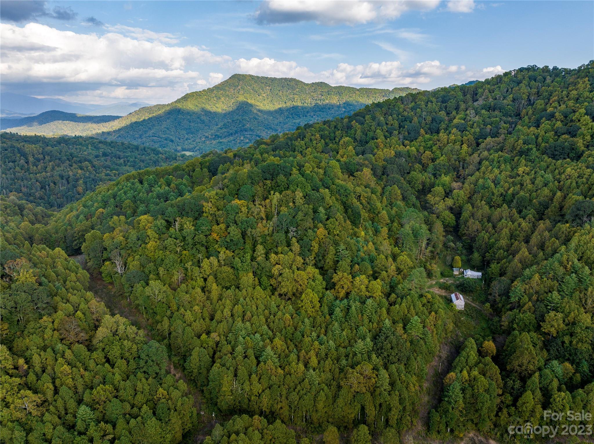 304 Miller Hill Road Burnsville, NC 28714 - Photo 20 of 20 a view of a lush green forest with lots of trees