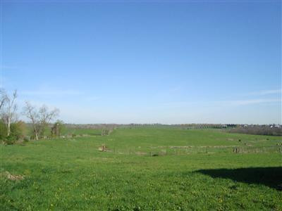 375 Stoney Point Road Paris, KY 40361 - Photo 4 of 25 Photo 4