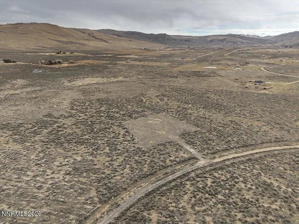 a view of a dry yard