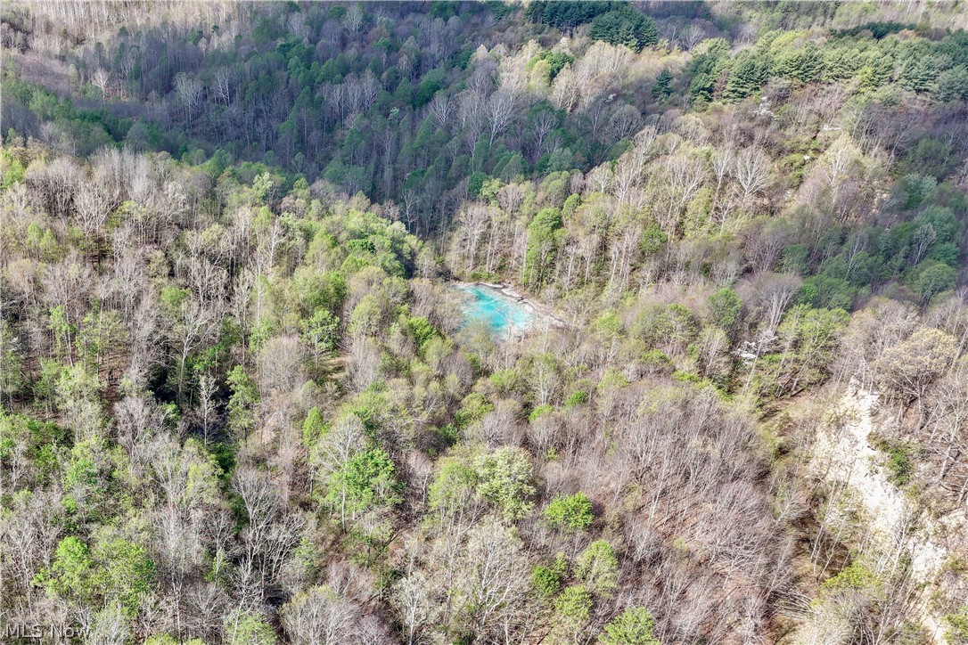 0 Harrons Ridge Road Dexter City, OH 45727 - Photo 3 of 29